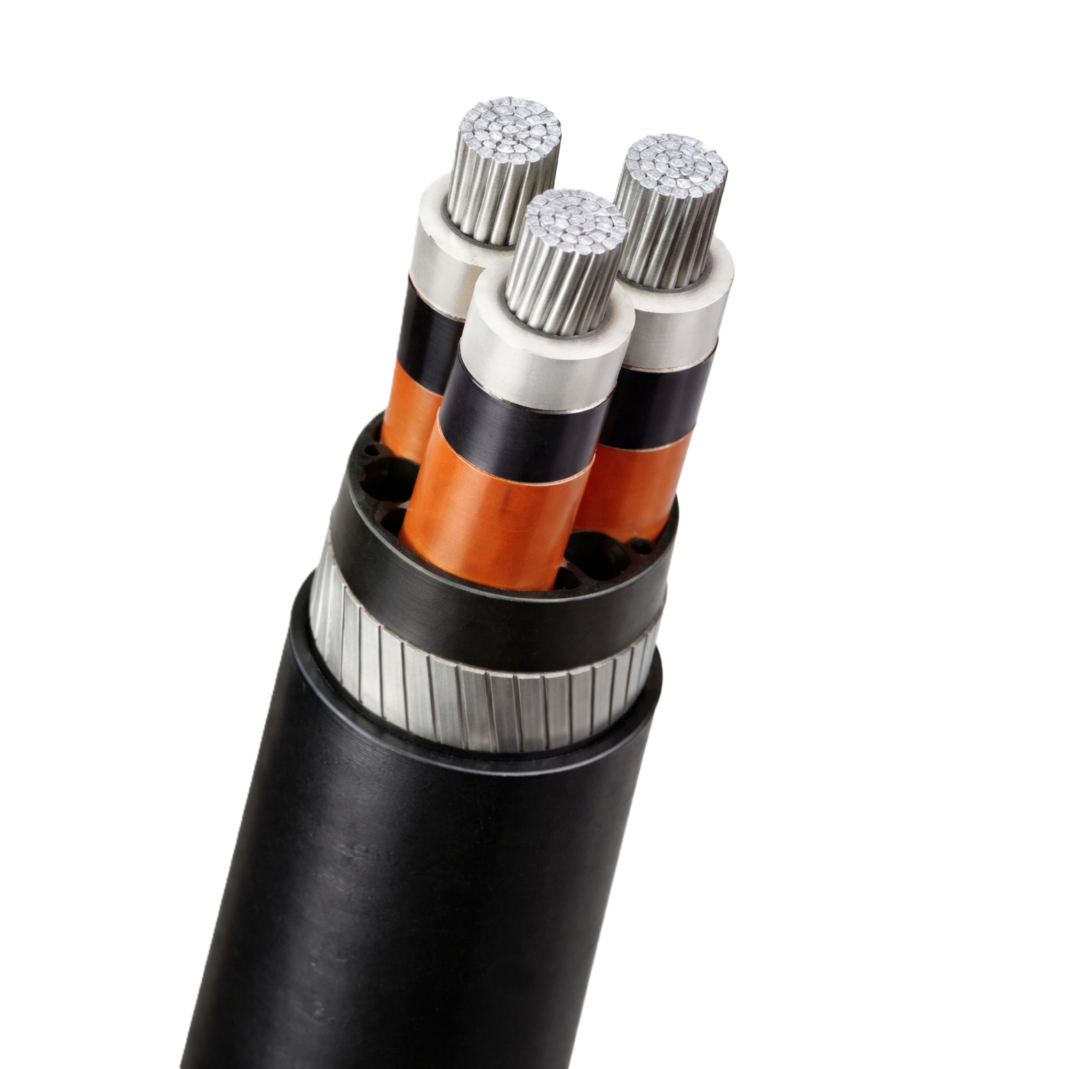 chatgpt image jan 9, 2026, 12 54 13 pm